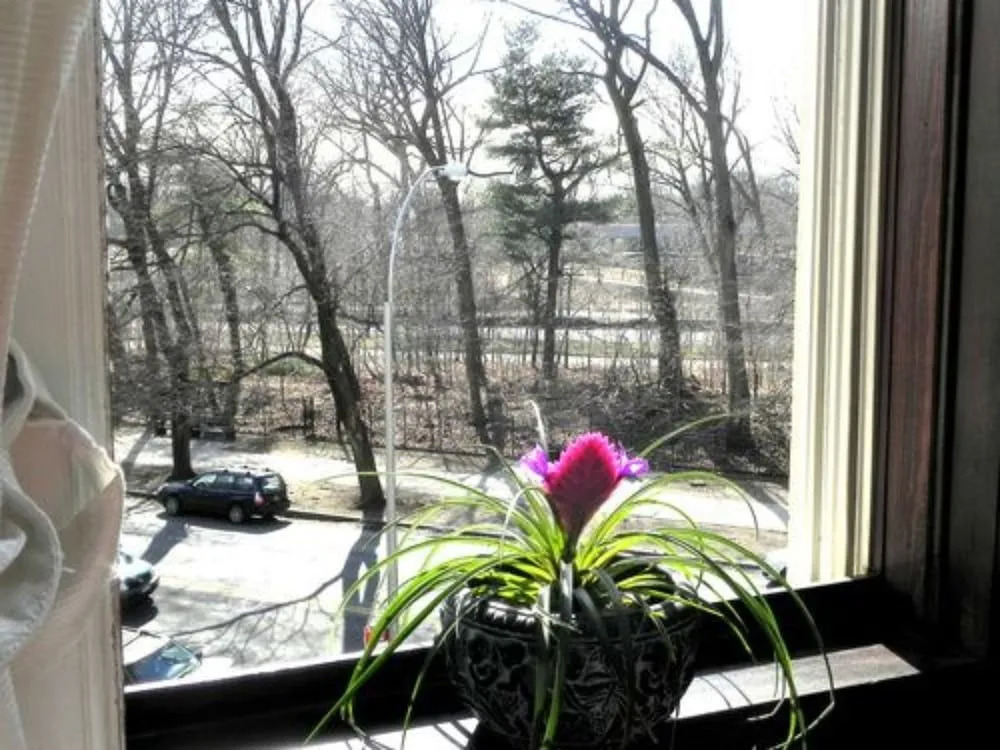 Parkside Bed & Breakfast