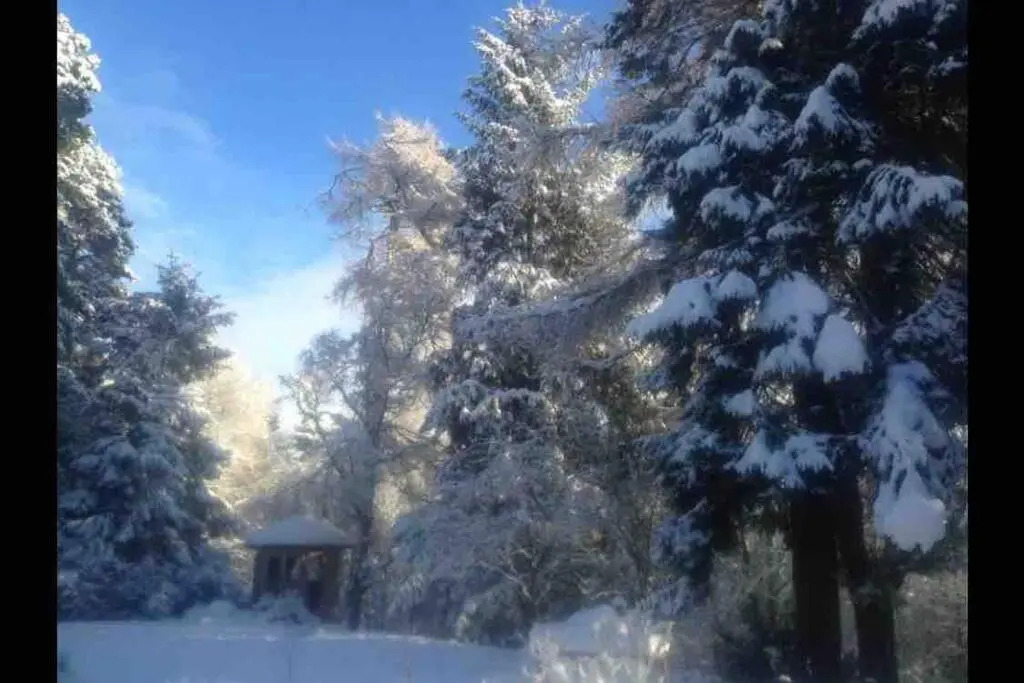 The Beeches Studio, Highlands of Scotland