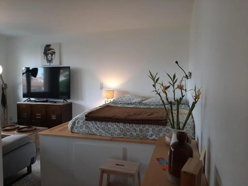 Appartement Biarritz, 1 pièce, 2 personnes - FR-1-239-675