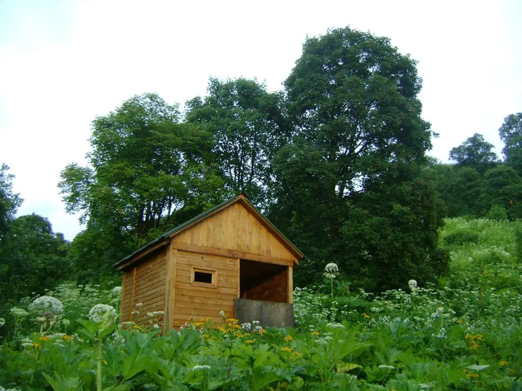 Ludwig Guesthouse