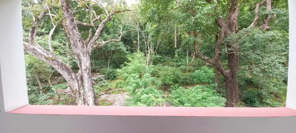iSTAYS - Loop Road Yercaud