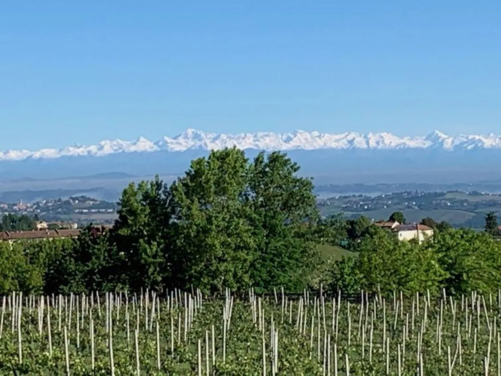 Cascina Castello (COI302)