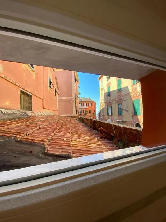Carruggio 151-1