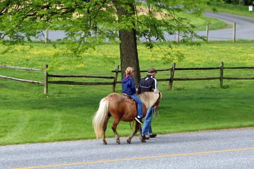 Rocky Acre Farm Bed and Breakfast