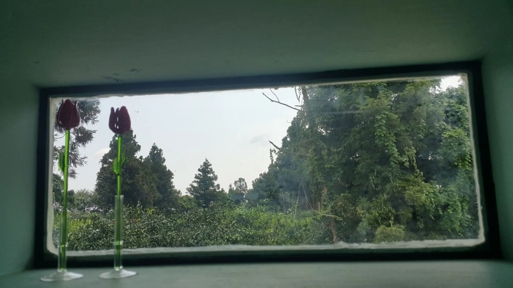 Jeju Mermuri