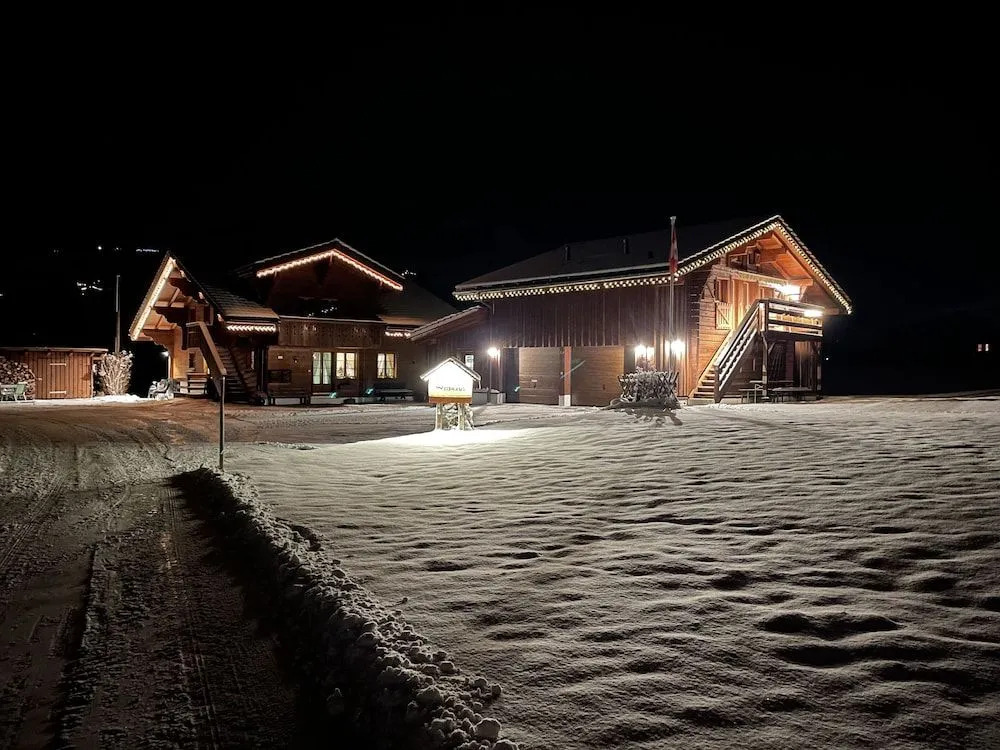Alpenchalet Weidhaus Gstaad - Dachwohnung - Studio - Stockbettzimmer