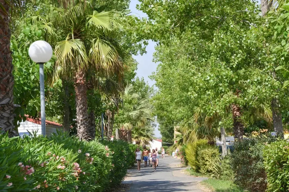 Vias Caravan Park Camping for 6