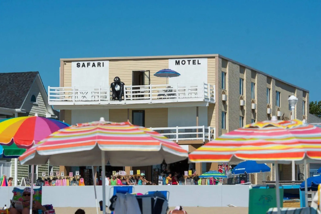 Safari Hotel Boardwalk