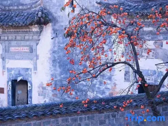 Taiping Yunzhu Characteristic Homestay