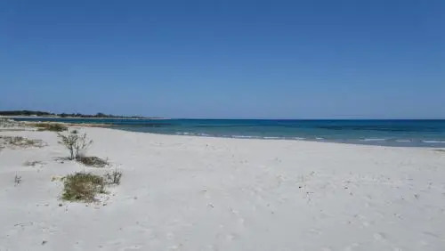 La Corte degli Ulivi Appartamenti