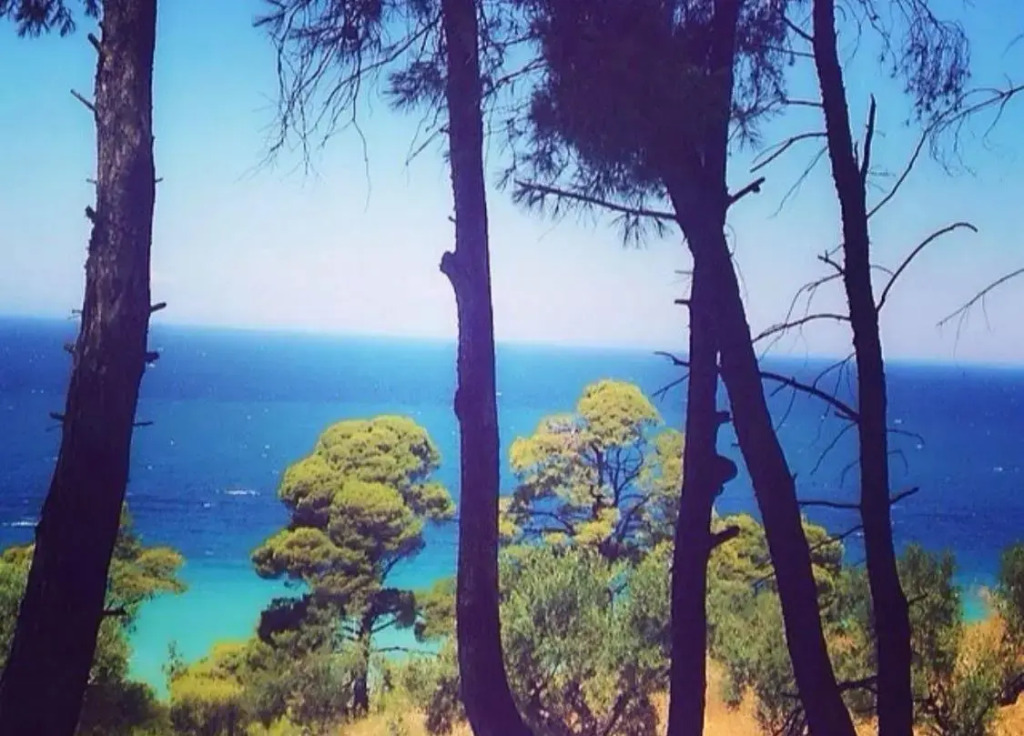 Summer House with Amazing View