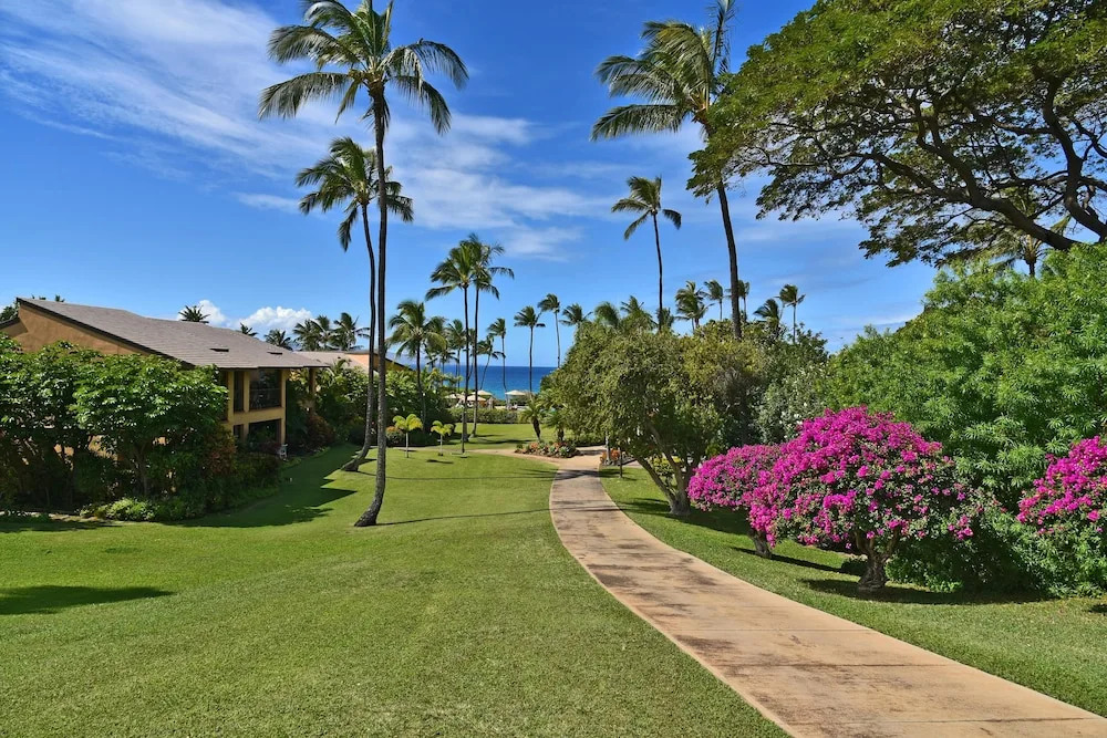 Tropical Oasis with Daily Activities - Spacious and Stylish Getaway