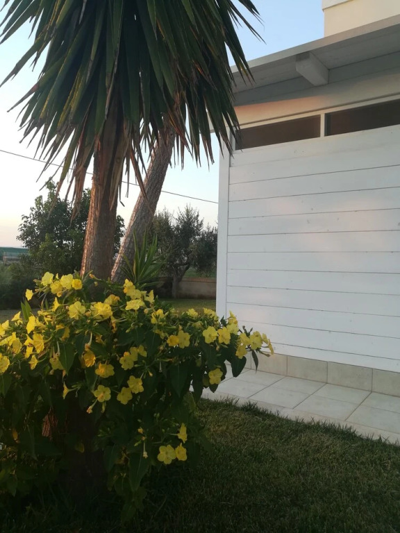La controra B&B