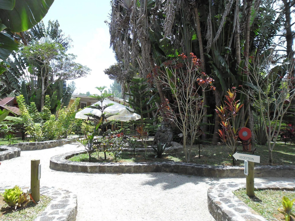 Le Domaine de L’arbre du Voyageur