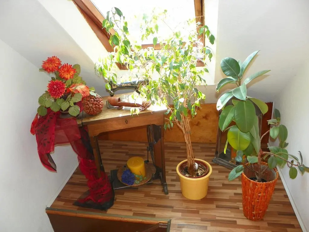 Privatzimmer "Sinfonie"