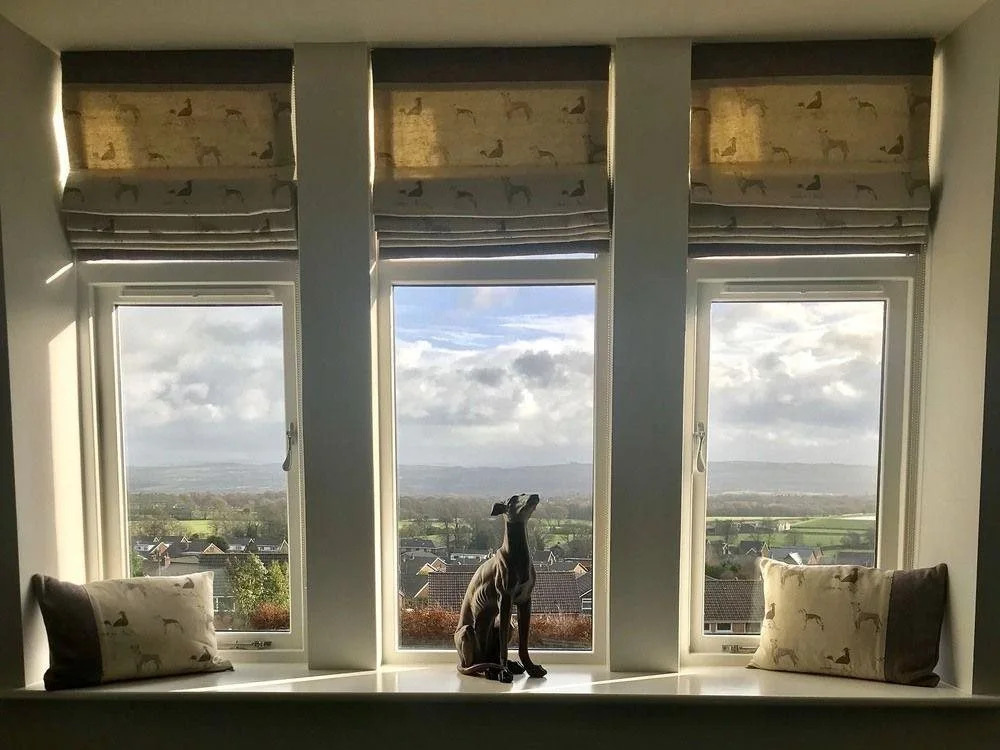 The Dog Inn