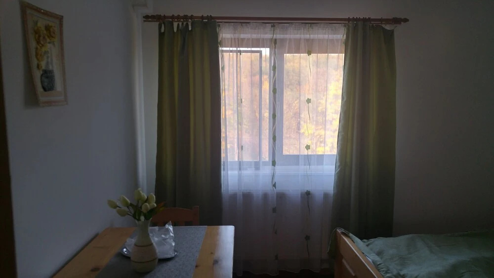 Pensiunea Casa Vanatorului