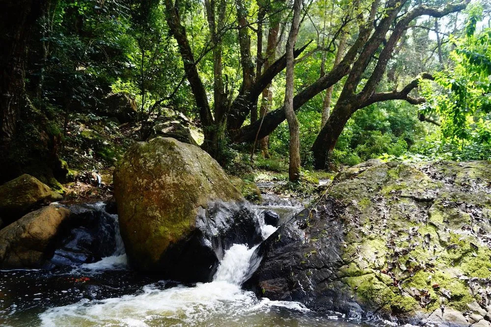 Secret Valley Jungle Resort
