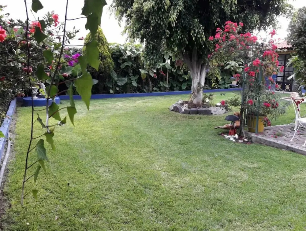 Finca Fabiola