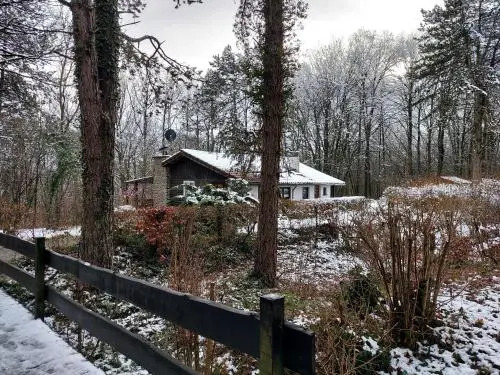 Chalet des pins dAutriche