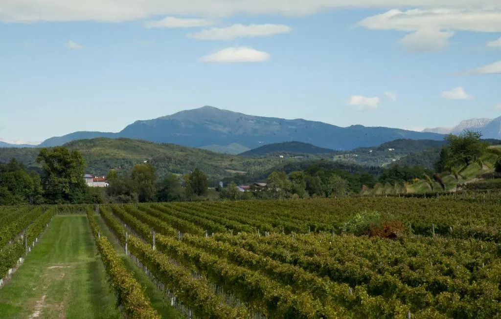 Alloggio Agrituristico CORTE SAN BIAGIO