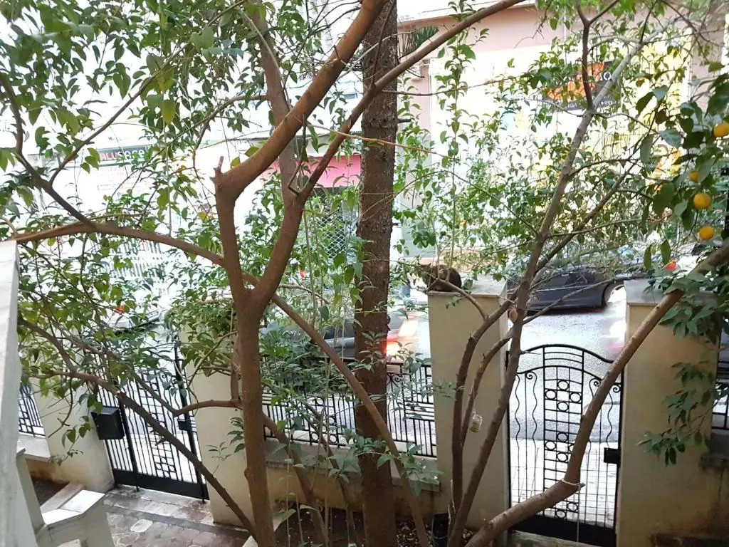 Errathens Aegean Apartment - Athens Center, 5 BD, 2 BATH