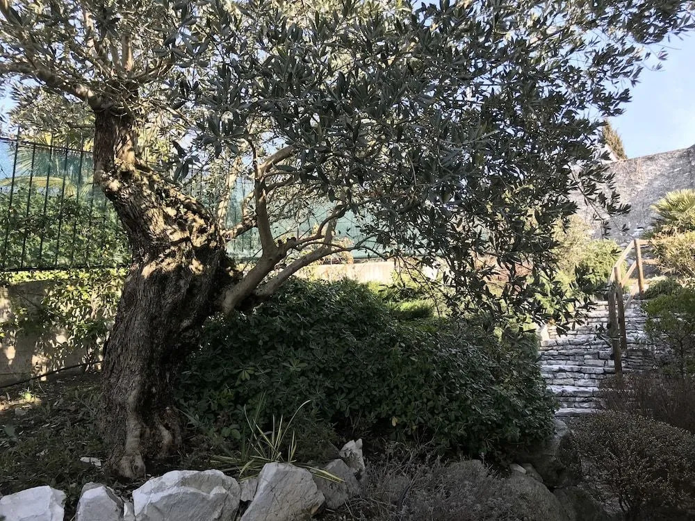 Il Sasso Bianco