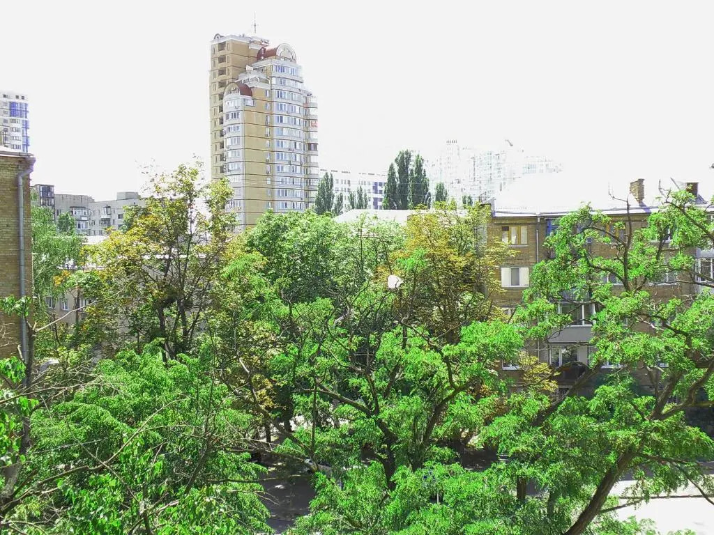 Apartment on Nimanska 5