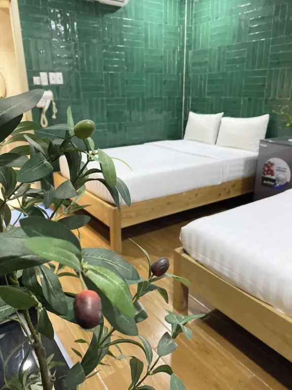 MEOW Hotel & Cafe 2