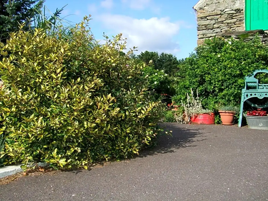 Reenmore Farmhouse