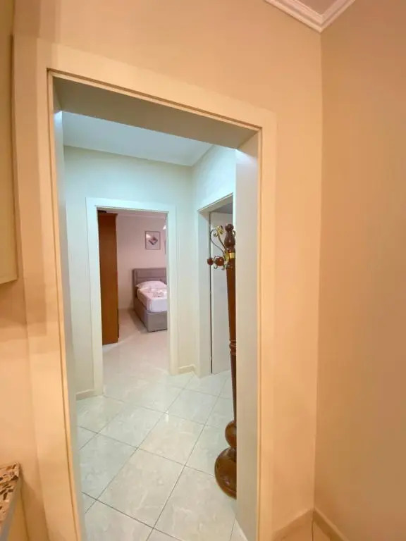 2 bedroom condo in Tirana