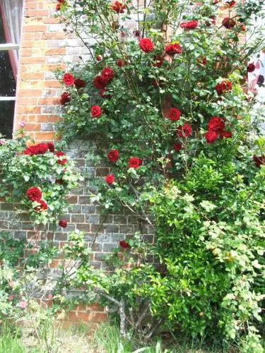 Zouch Farm Bed & Breakfast