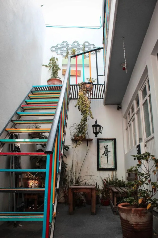 Monkey Safari Hostel