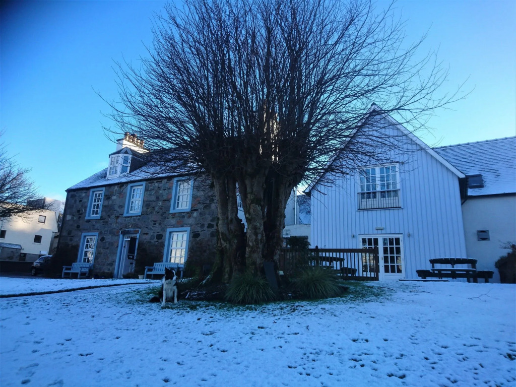 Lime Tree Hotel