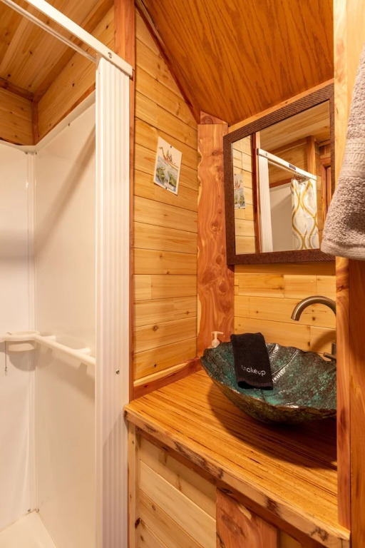 Tiny House Leadville Colorado