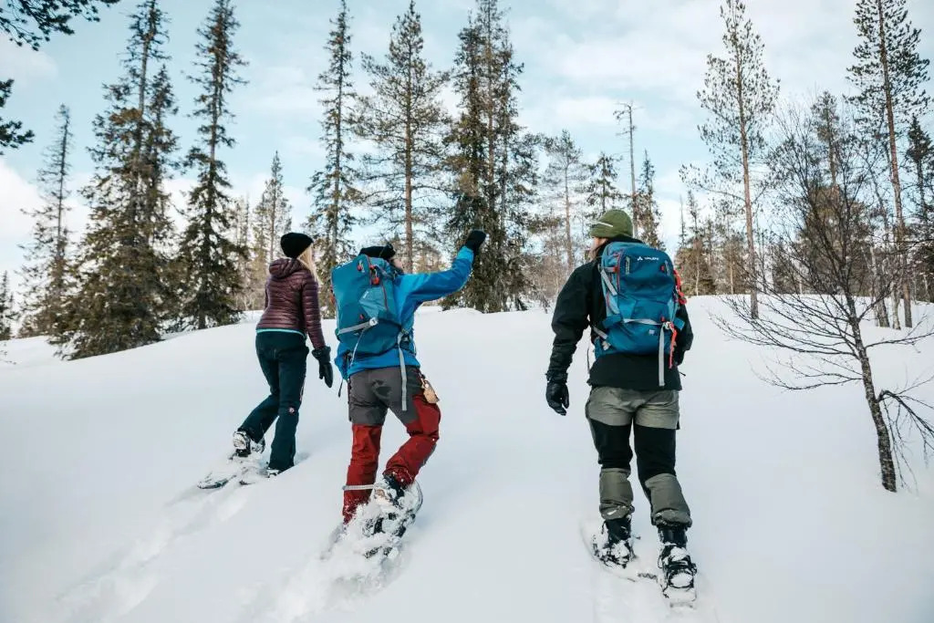 Lapland Hotels Riekonlinna