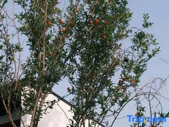 Jingdezhen Yixi Yanhuan Homestay
