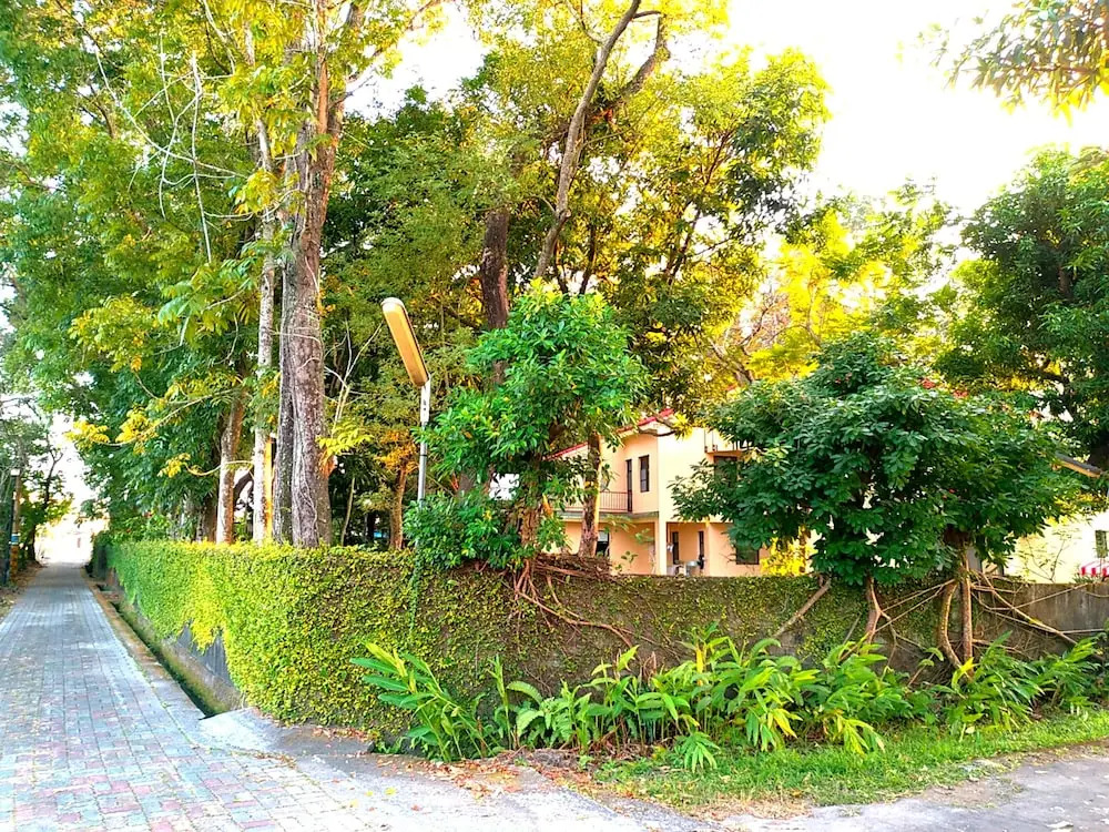 Luisa & Jack's Home
