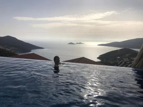 Eco Villa Palmiye