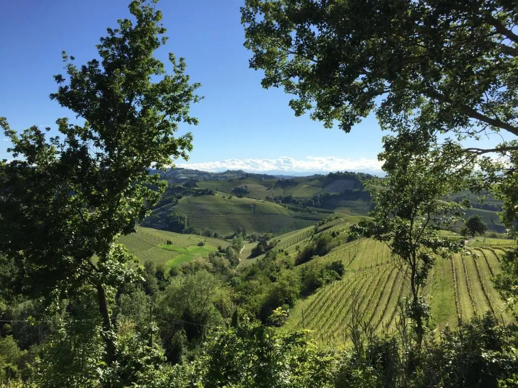 Cascina Alberta