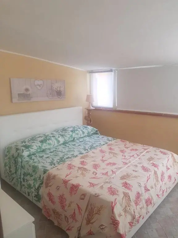 casa cetti