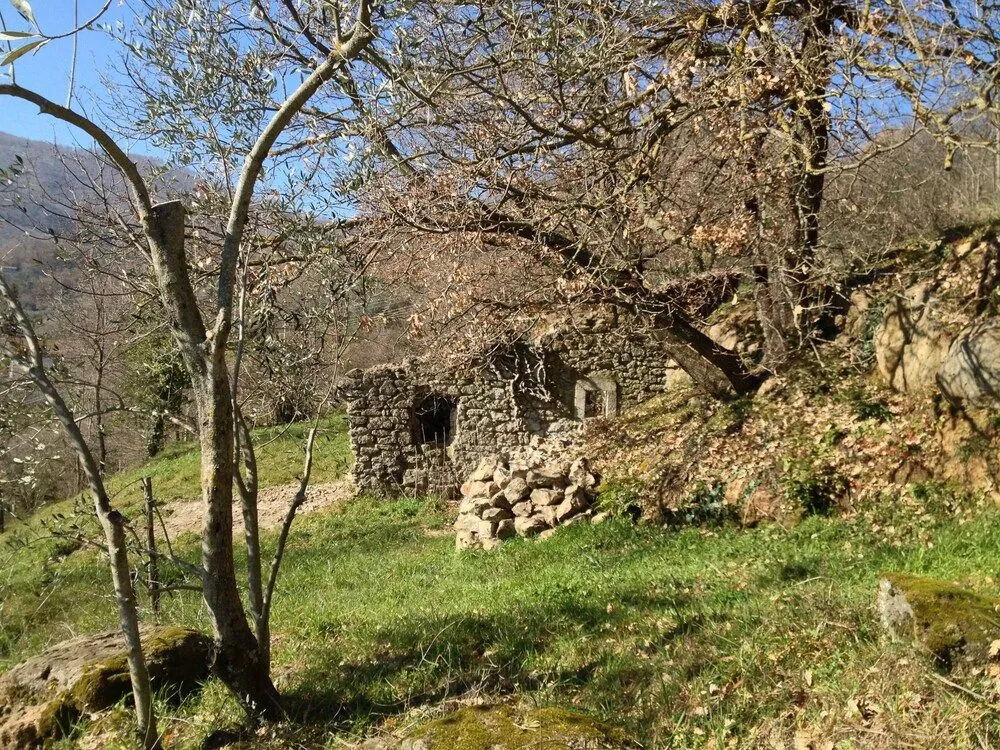 Podere Pontepietra