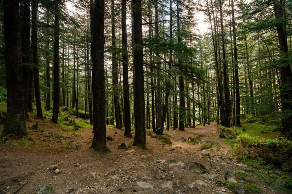 Offbeat Pulga by Pack, near Kasol