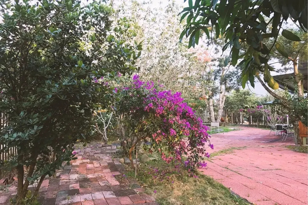 Puli 303 B&B