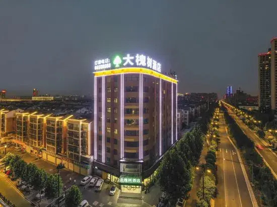 Dahuaishu Hotel (Luoyang Longmen High-speed Railway Station)