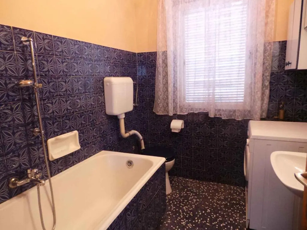 Apartment in Kastav 39570