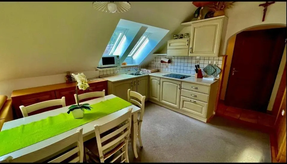 Apartment Dimnik