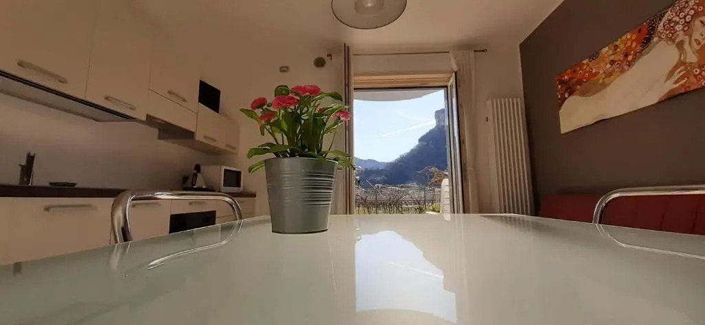 Apartment Viola