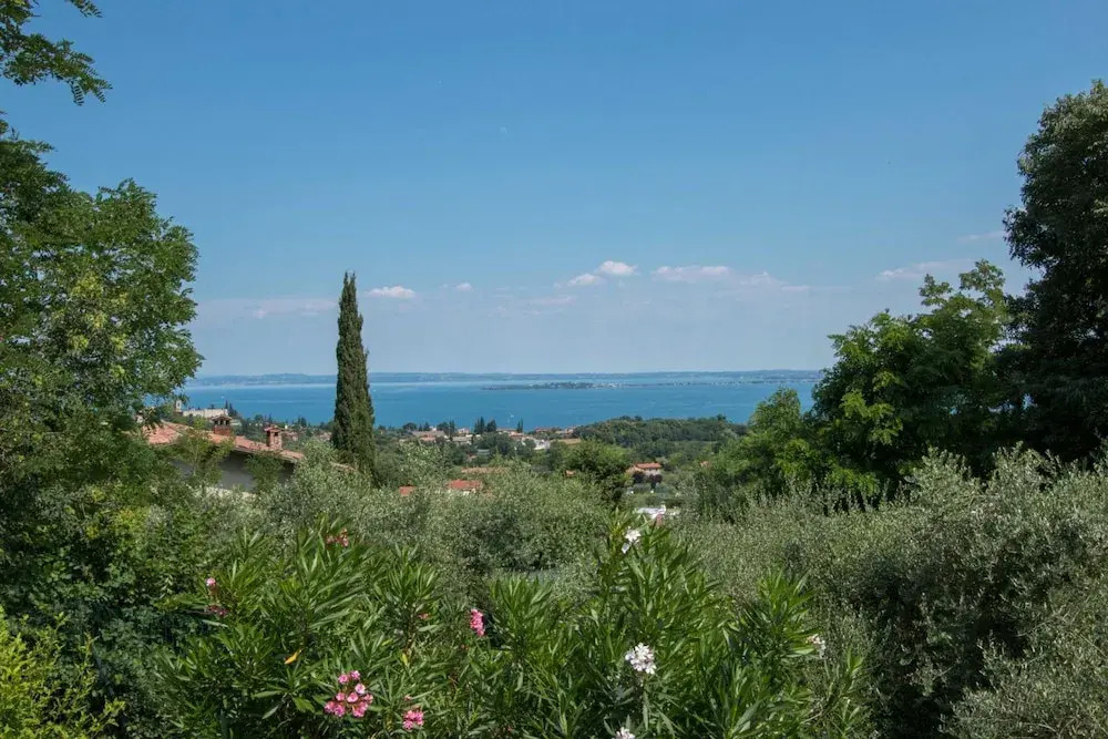 Daller Bianca - BK in Soiano del Lago