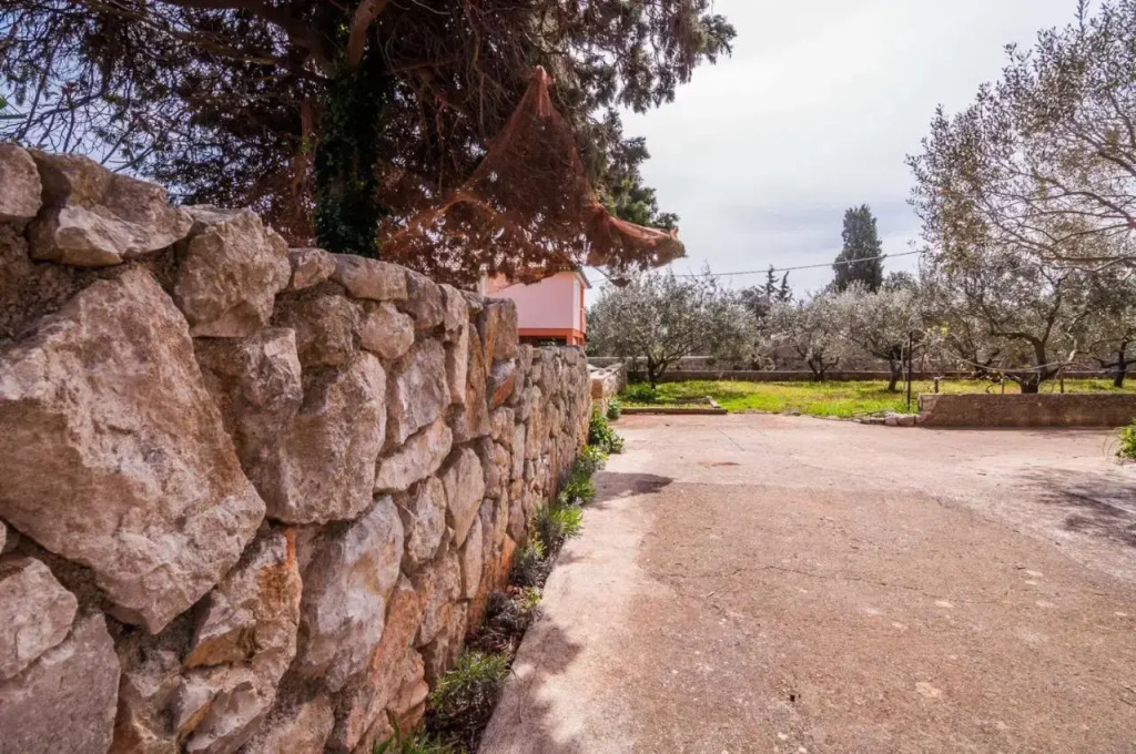 Apartments Cvita Ugljan